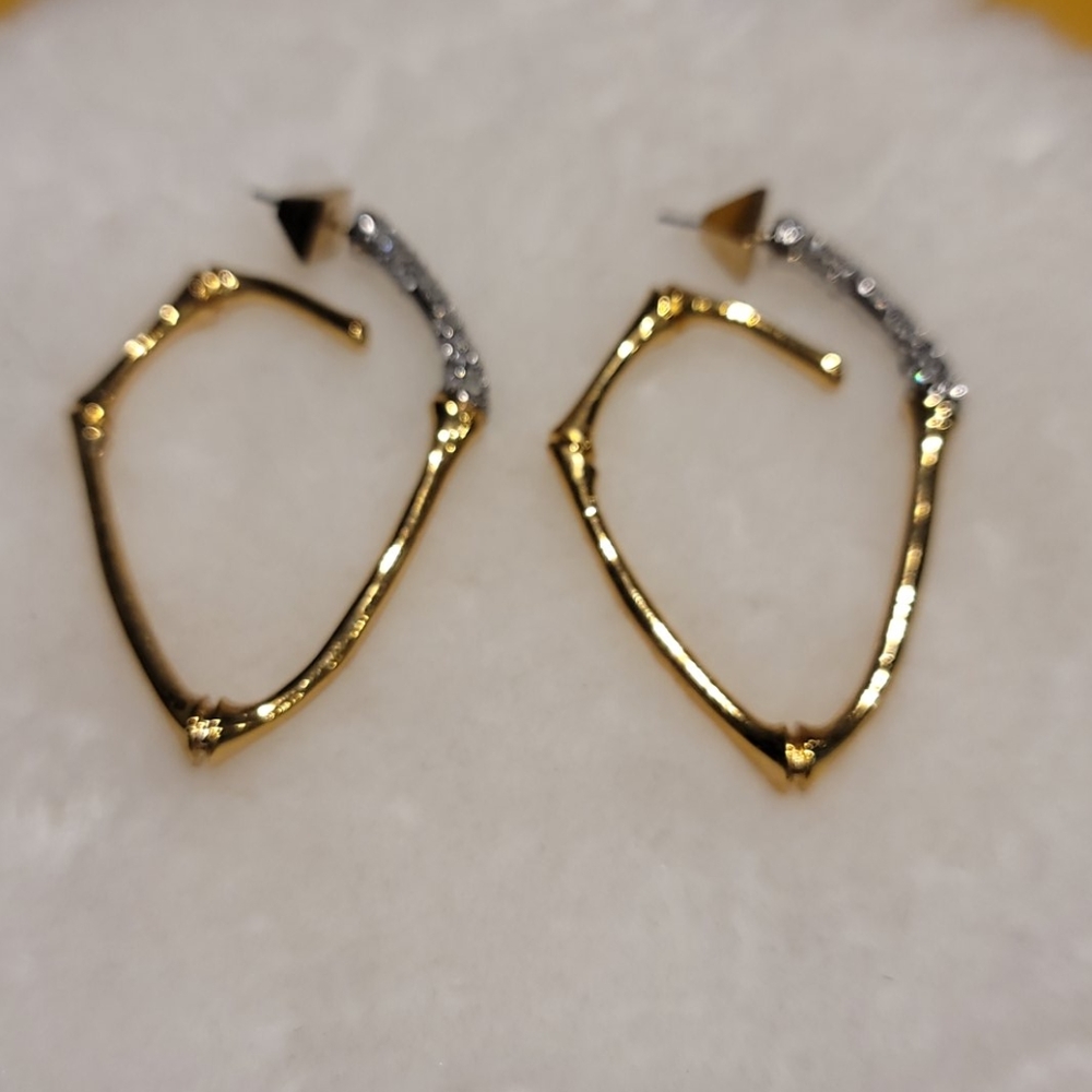 Alexis Bittar Earrings